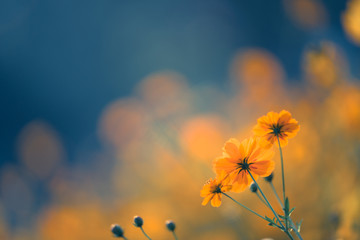 笔记本电脑被水泡过怎么办？