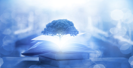 笔记本并不是很热的情况下自动断电