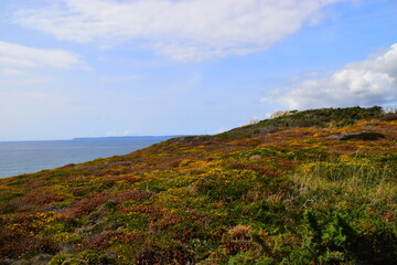 5至6千笔记本电脑
