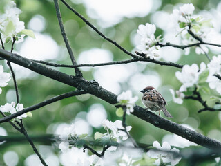 华硕进入bios如何进