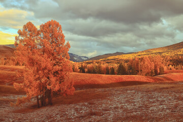 笔记本有些按键不灵敏要用力按才行！如何解决