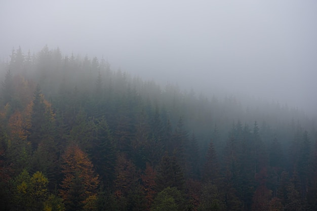 笔记本电脑被水泡过怎么办？